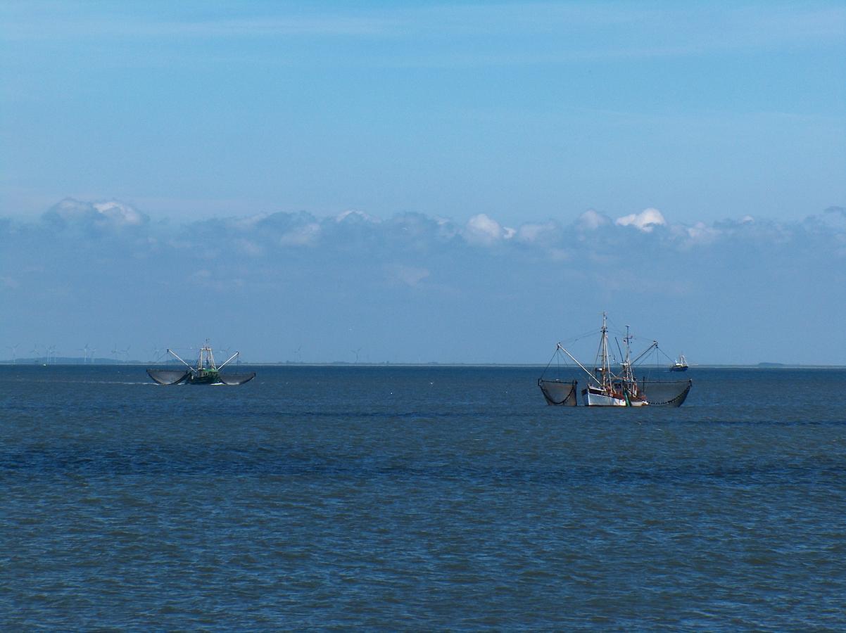 Nordsee Lodge Pellworm Kültér fotó
